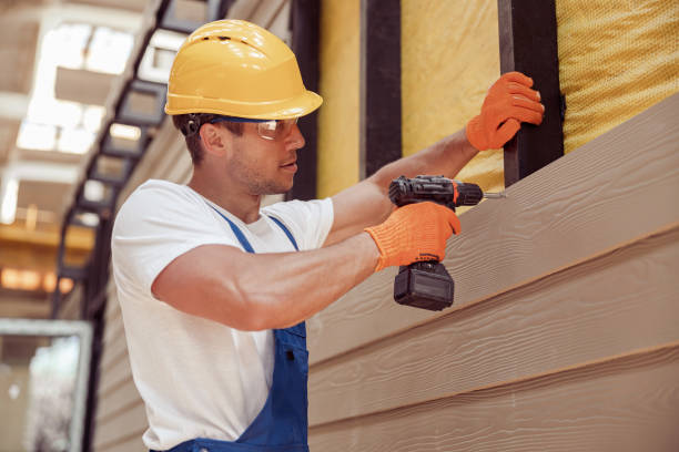 Best Stone Veneer Siding  in Lenox, IA
